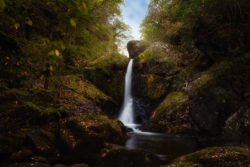 The Devil's Glen, Co. Wicklow