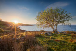 Roelough County Donegal