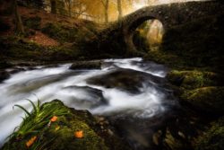 Autumn at Foleys Bridge, Tollymore Forest Park