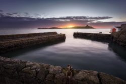 Colliemore Harbour Dalkey