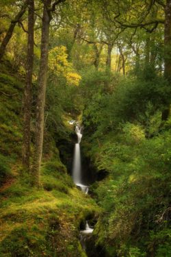 Poulanass Waterfall Glendalough County Wicklow