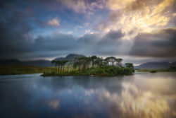 Derryclare pine island connemara galway