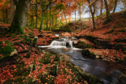 Autum in County Wicklow