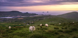 A view from Valentia Island in County Kerry looking out towards the Skelligs