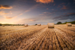 Summer Sunset in County Dublin